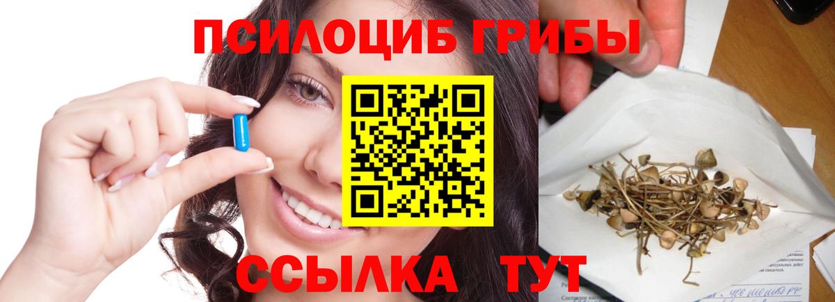 Галлюциногенные грибы MAGIC MUSHROOMS  Вход с VPN  Глазов 